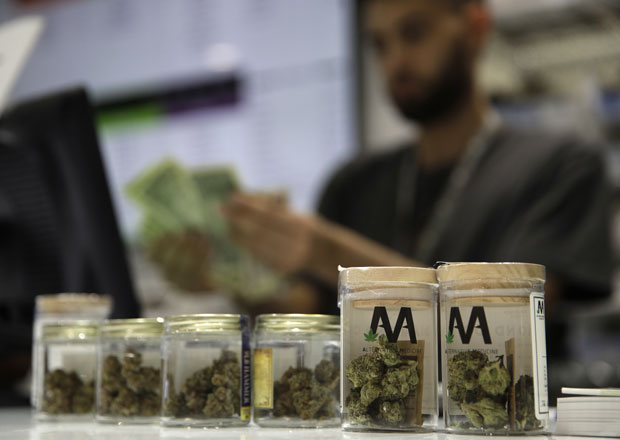 У Северној Македонији легално гаје траву